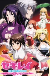 دانلود انیمه Sekirei: Pure Engagement