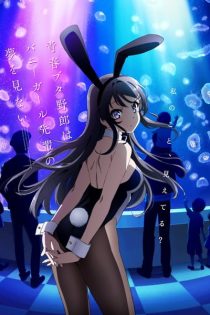 دانلود انیمه Seishun Buta Yarou wa Bunny Girl Senpai no Yume wo Minai