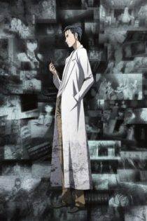 دانلود انیمه Steins;Gate: Kyoukaimenjou no Missing Link – Divide By Zero