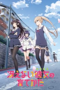 دانلود انیمه Saenai Heroine no Sodatekata