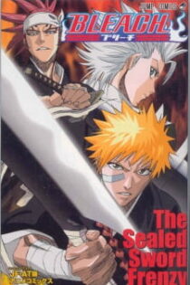 Bleach: The Sealed Sword Frenzy